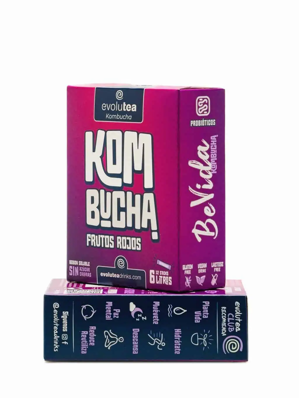 Kombucha Frutos Rojos